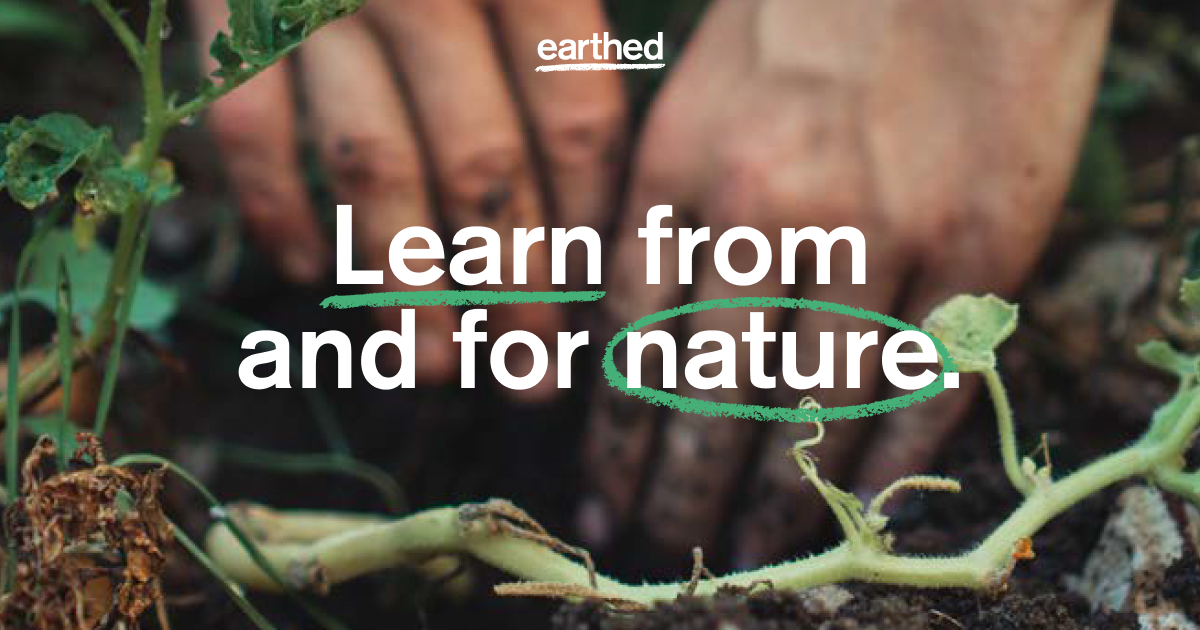 Blog Earthed
