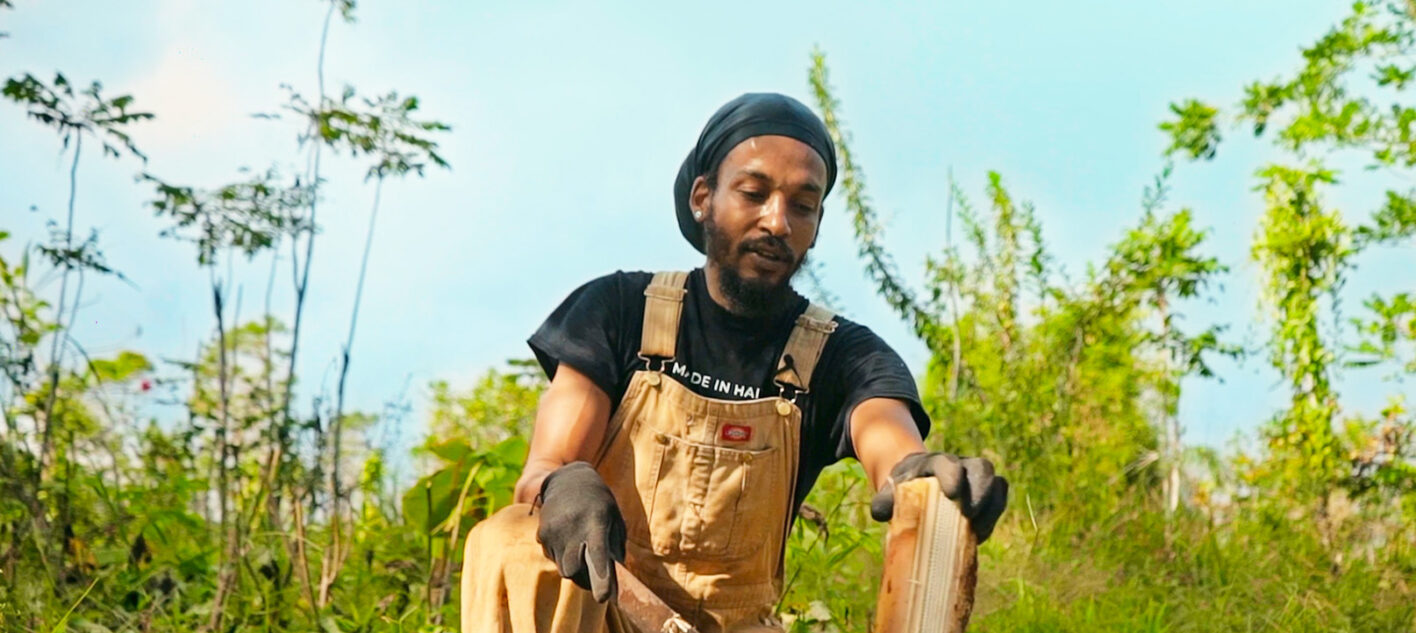 Syntropic Farming with Sidney Etienne