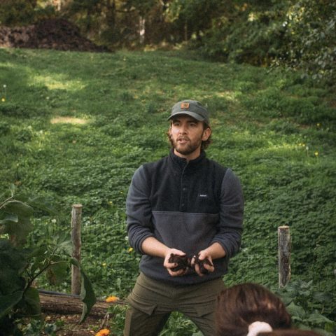 Jack Hodgson_ Jacks Patch