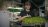 Mushrooms &#038; Microgreens with Jack Hodgson