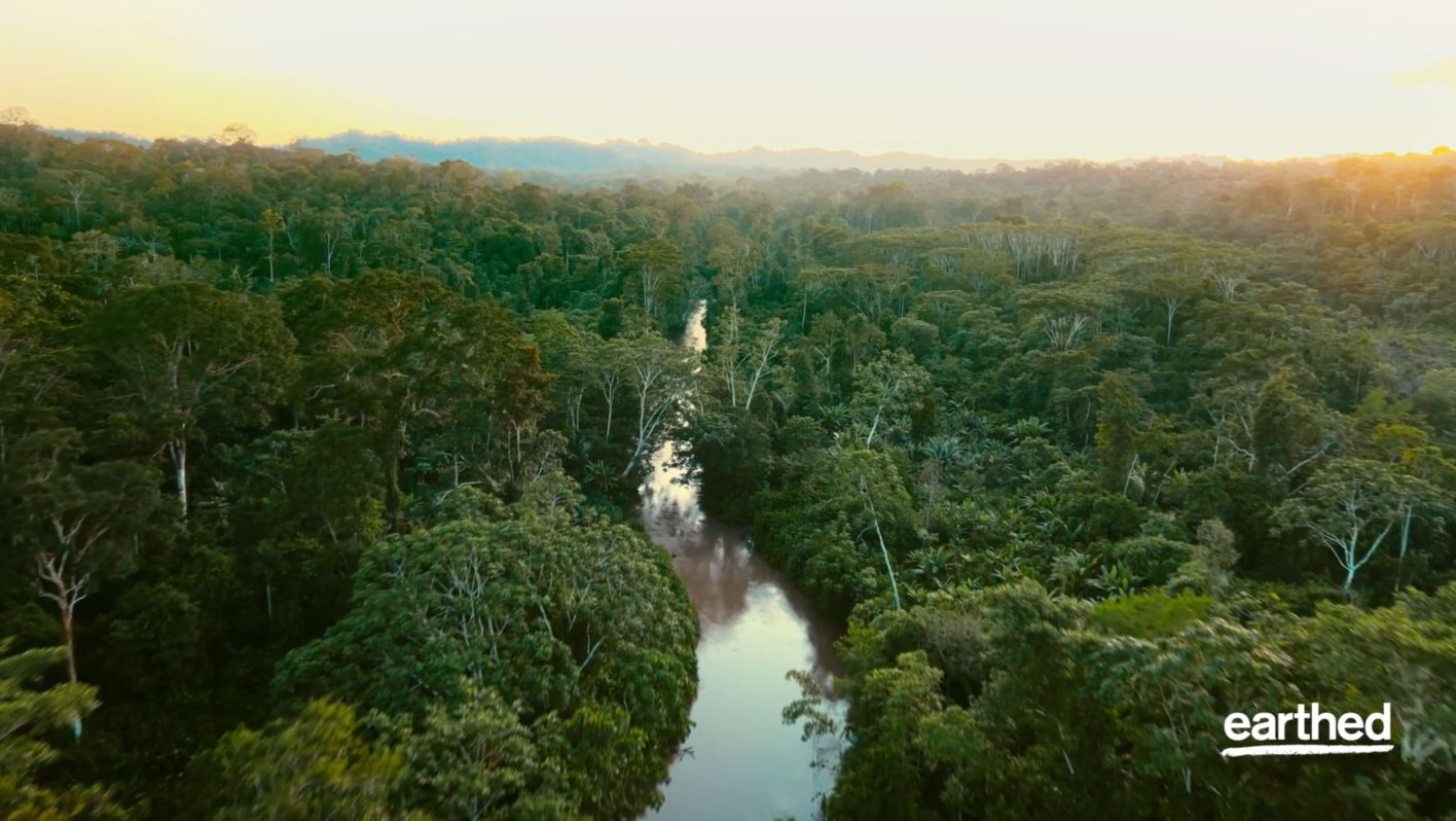 Everything you need to know about Ecosystem Restoration_Tropical forest with river_earthed