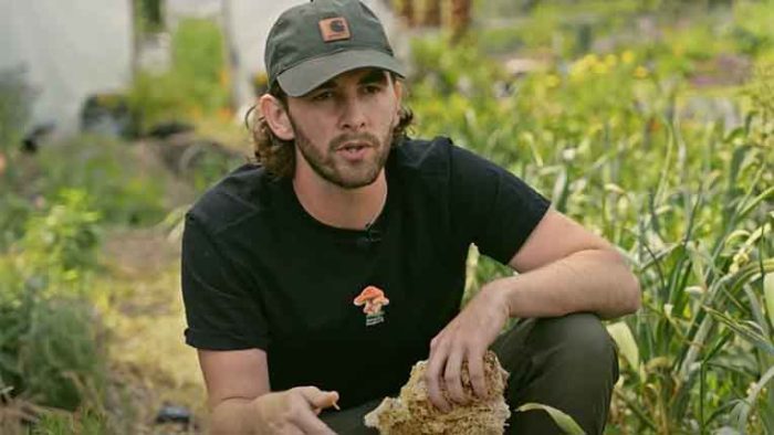 Image of earthed teacher Jack Hodgson, bending over a raised bed of vegetables growing