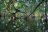3 Ecosystem Restoration Projects in India