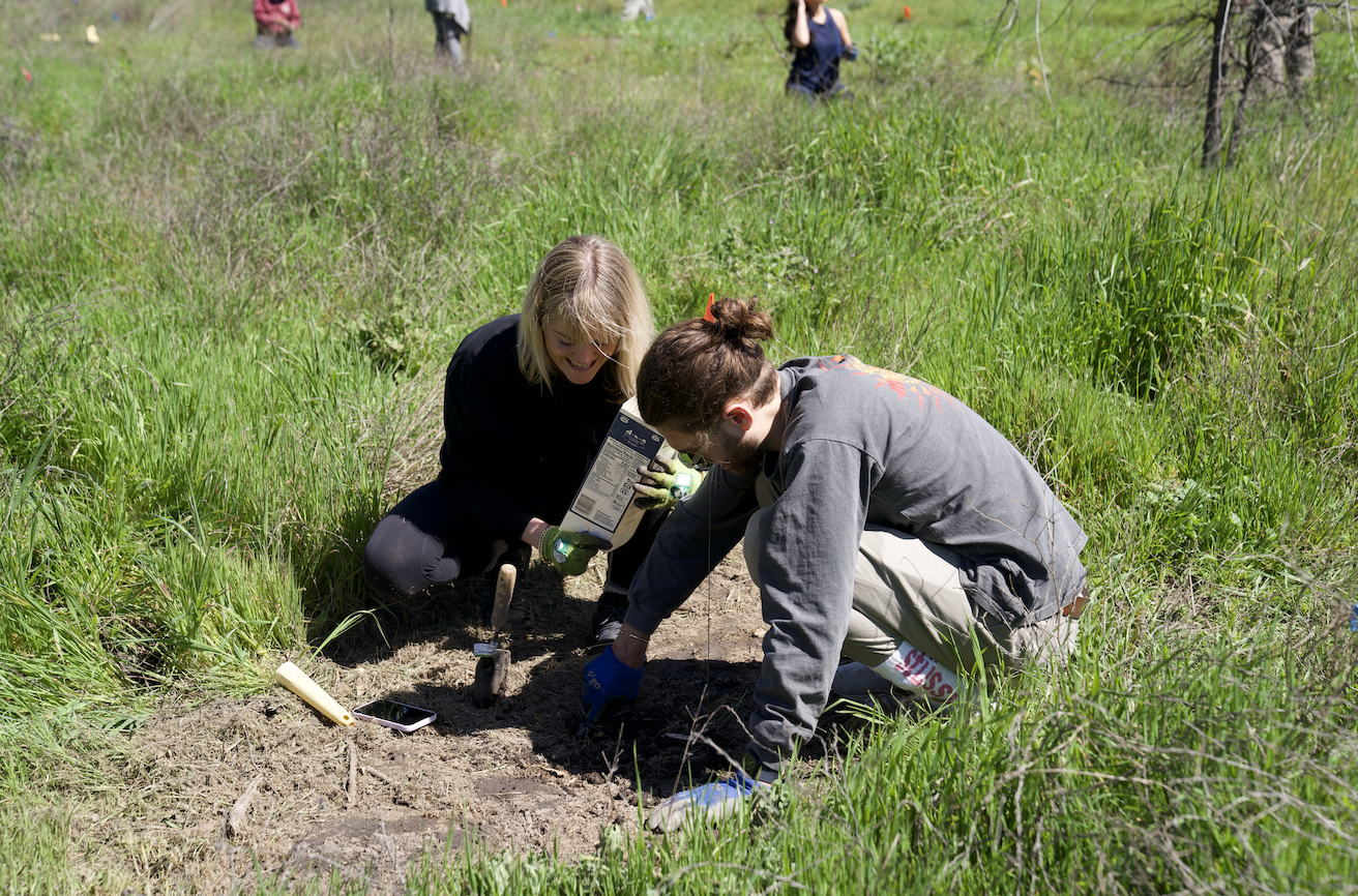 This month, our Earthed Community participated in rewilding Cheeseboro Canyon in collaboration with the Santa Monica Mountain Fund. We planted 200 Valley oak trees in a region impacted by the Wolsey fire. Each of these saplings has the potential to thrive for up to 600 years. 