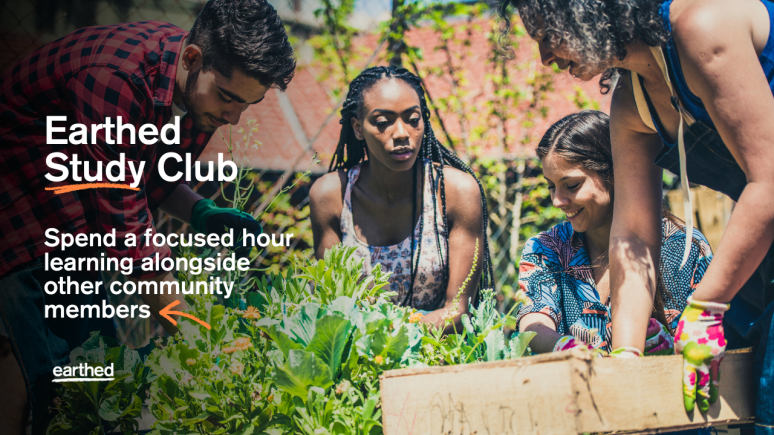 Earthed Study Club: Day Time