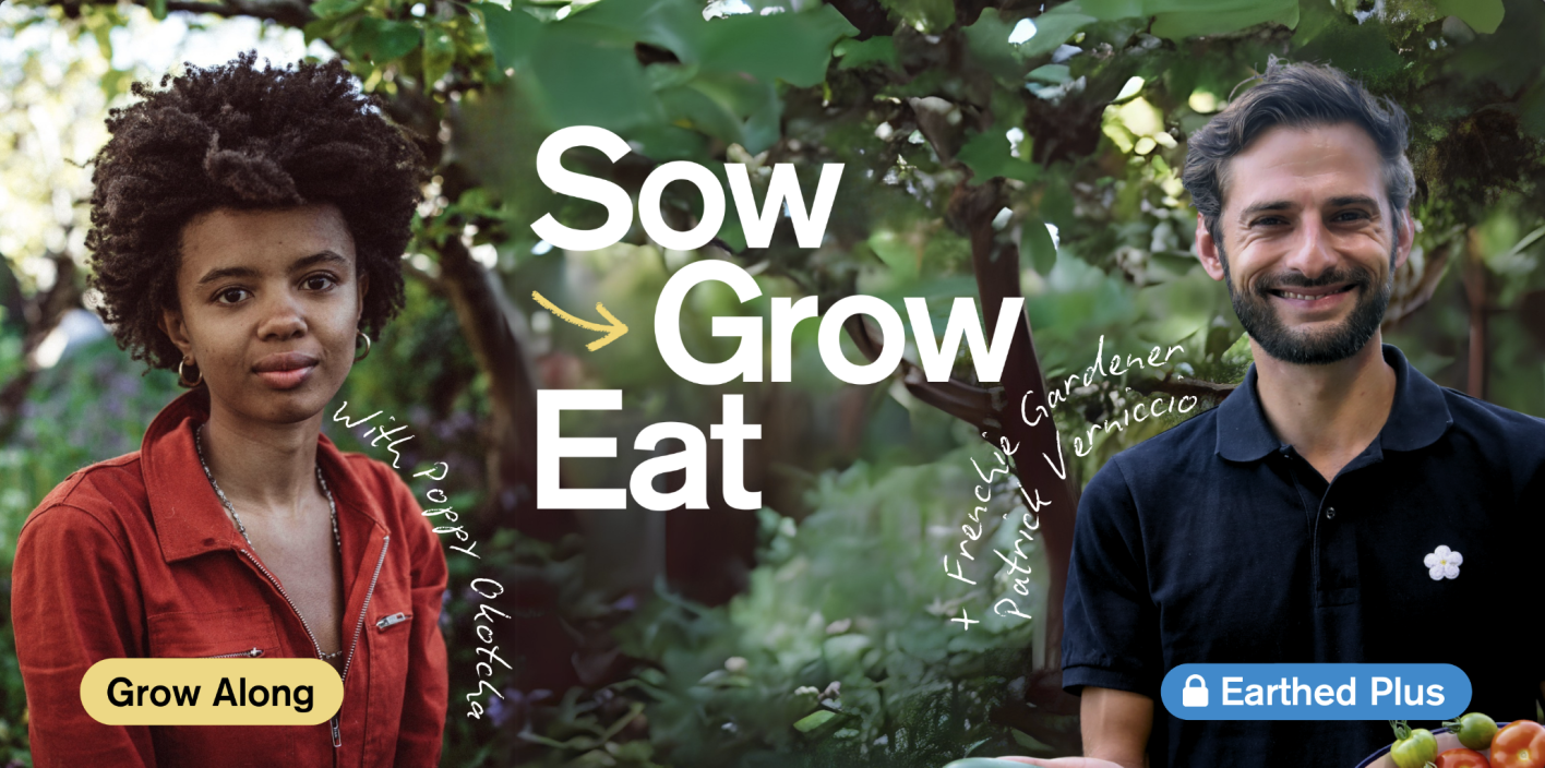 Grow Along with Poppy Okotcha and The Frenchie Gardener