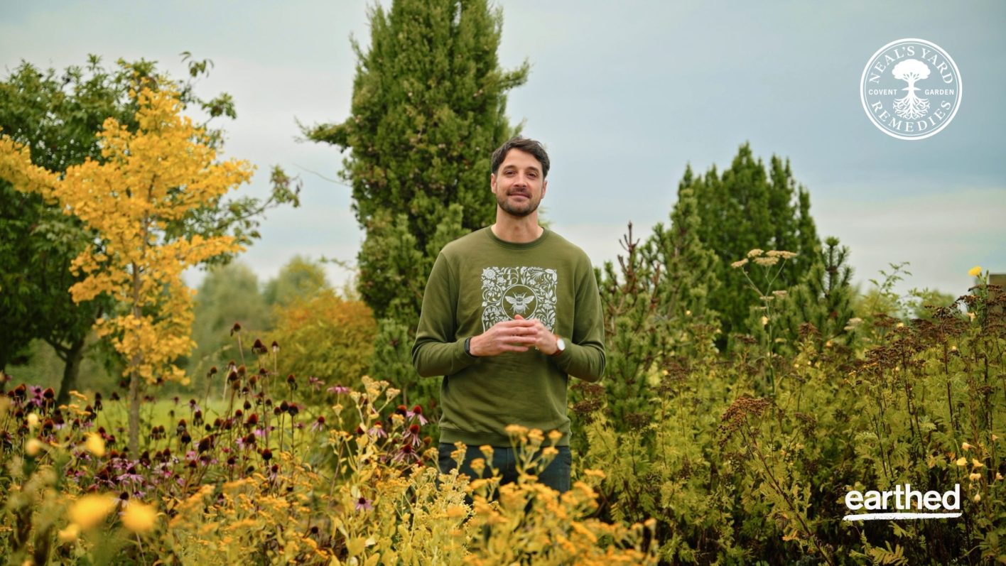 Pollinator Power: A Guide to Bumblebees and Biodiversity