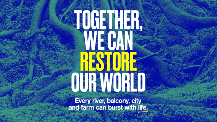 earthed summit 2025: generation restoration