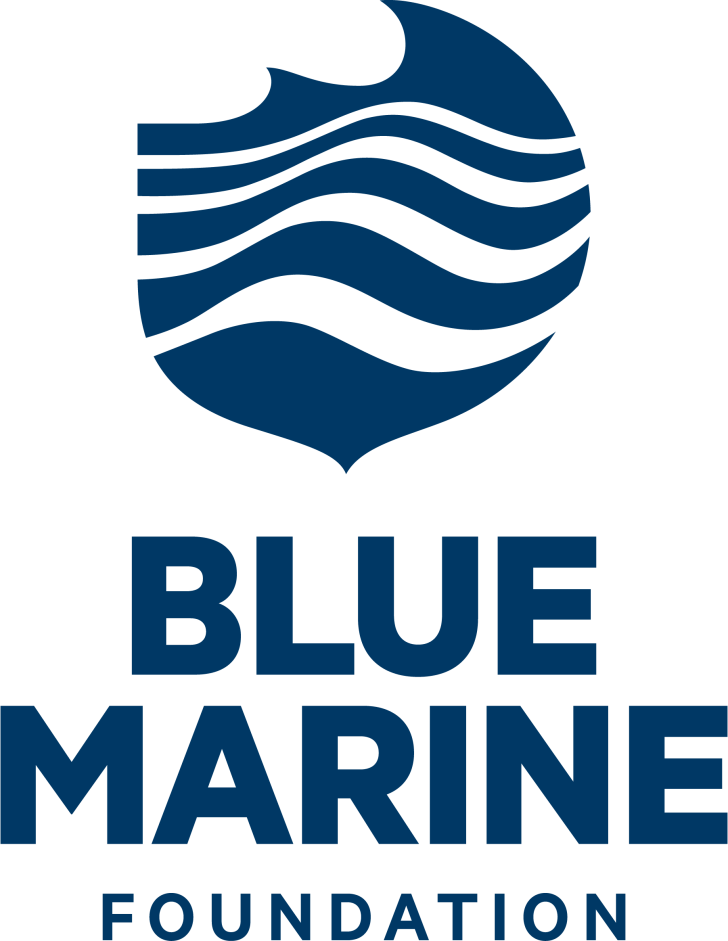 Blue logo