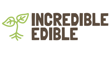 IE MAIN LOGO.001 (1)