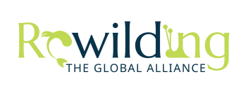 Rewilding-Logo-Color