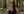 Architects of Abundance with  Dr Lyla June Johnston