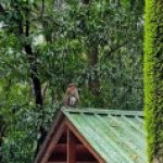 Profile photo of raghu671